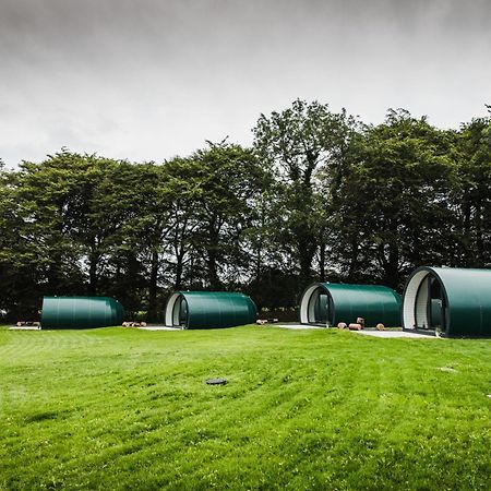Further Space At Thornfield Luxury Glamping Pods, The Dark Hedges, Ballycastle Ballymoney Exterior photo