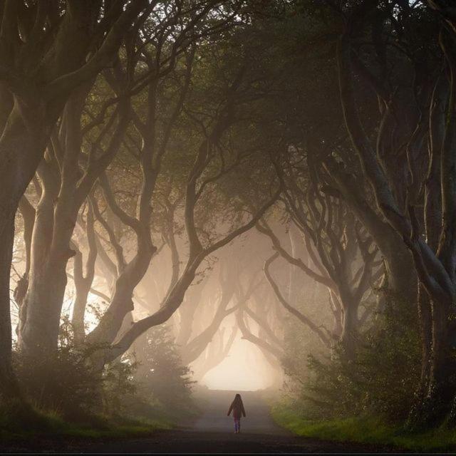 Further Space At Thornfield Luxury Glamping Pods, The Dark Hedges, Ballycastle Ballymoney Exterior photo